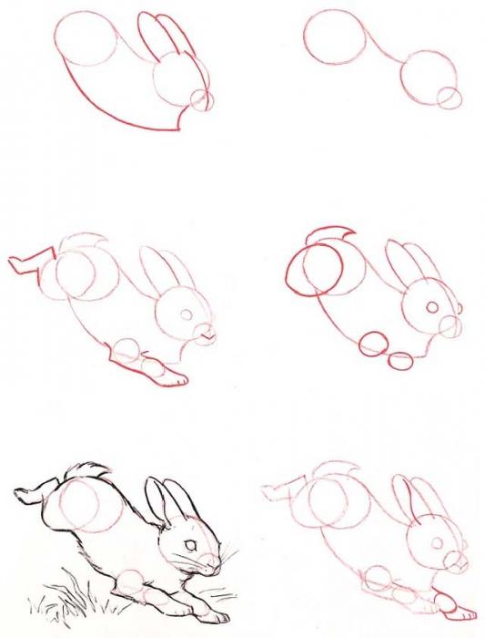 كيفية رسم الأرنب باستخدام قلم رصاص
